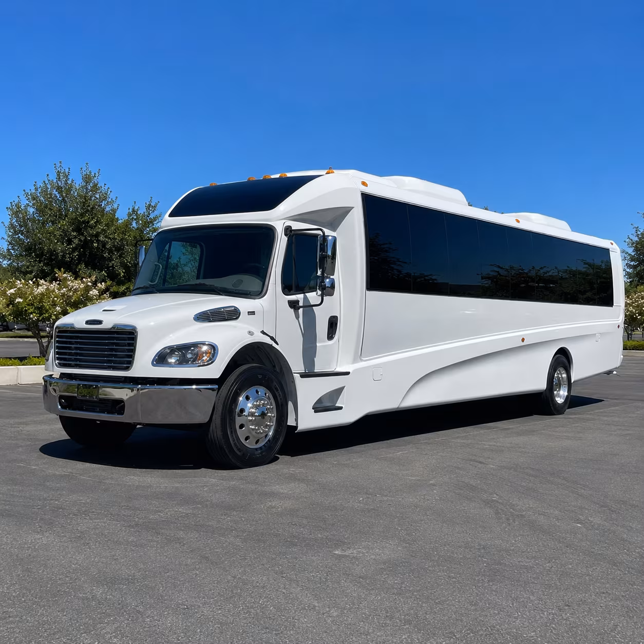 fort myers 25 passenger minibus