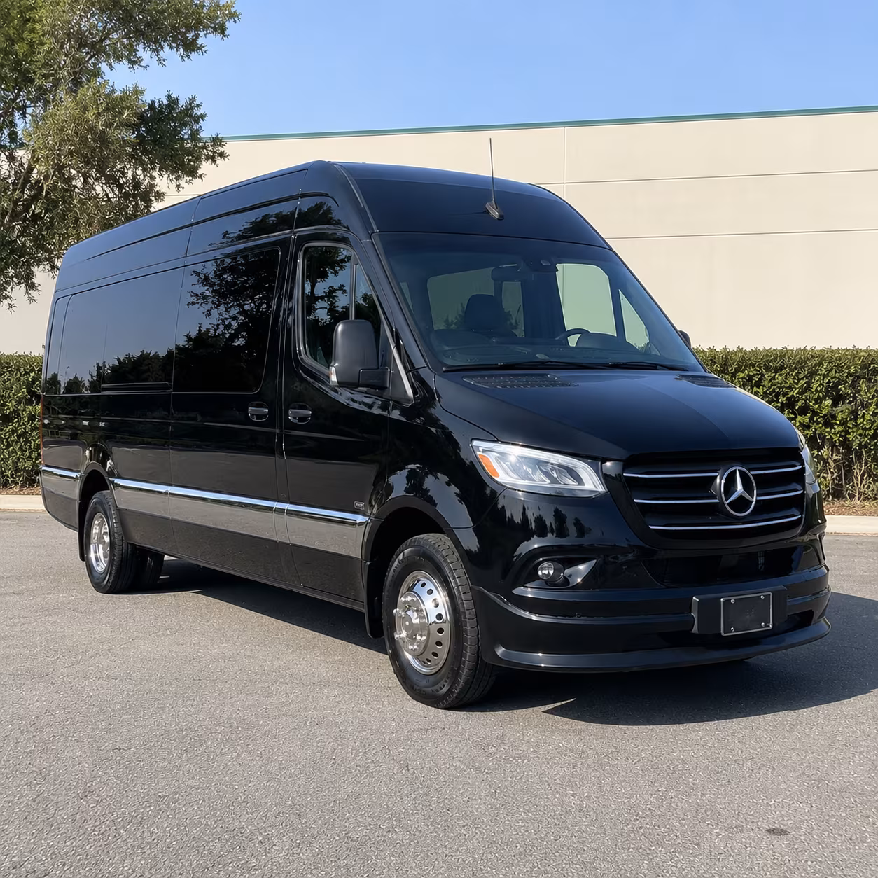 fort myers birthday party transportation